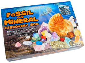 Fossil And Mineral Discovery Box