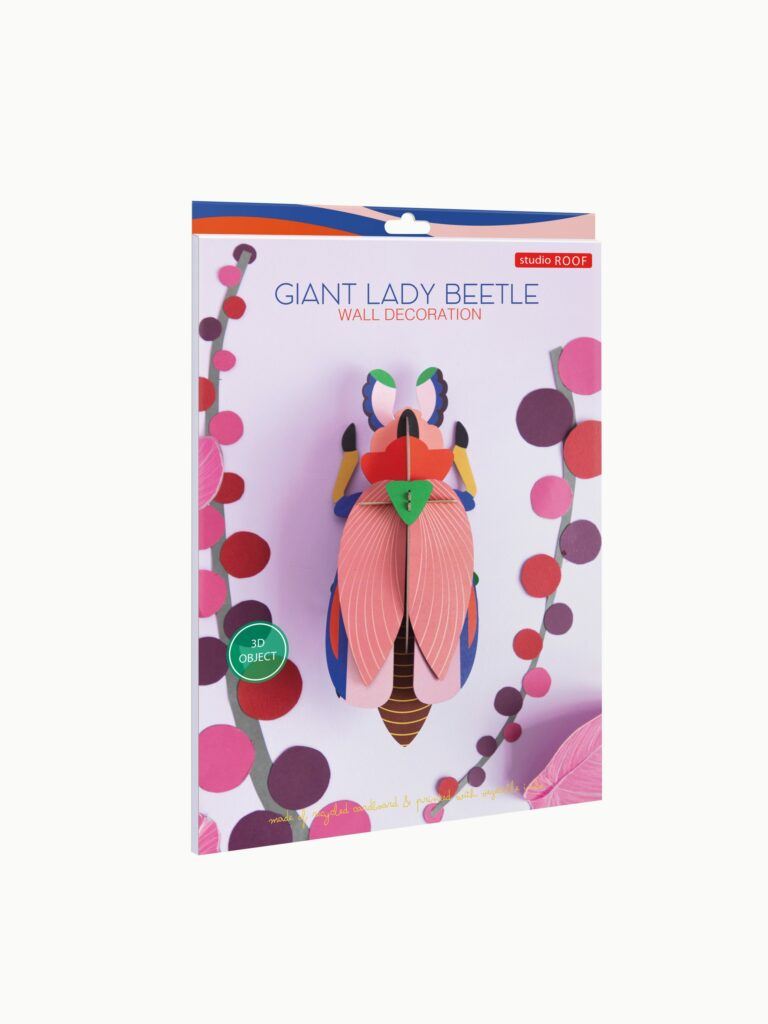 Studio Roof - Wall Art - Giant Lady Beetle