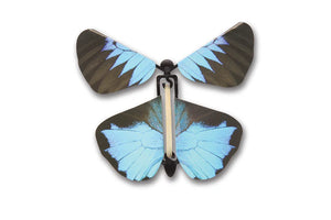 Wind Up Australian Butterfly