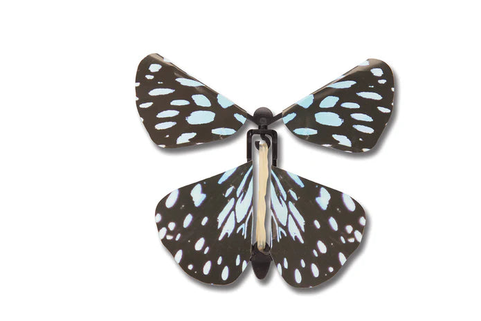 Wind Up Australian Butterfly