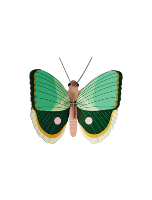 Studio Roof - Fern Striped Butterfly