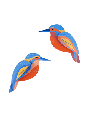 Studio Roof - Wall Art Garden Birds Kingfishers