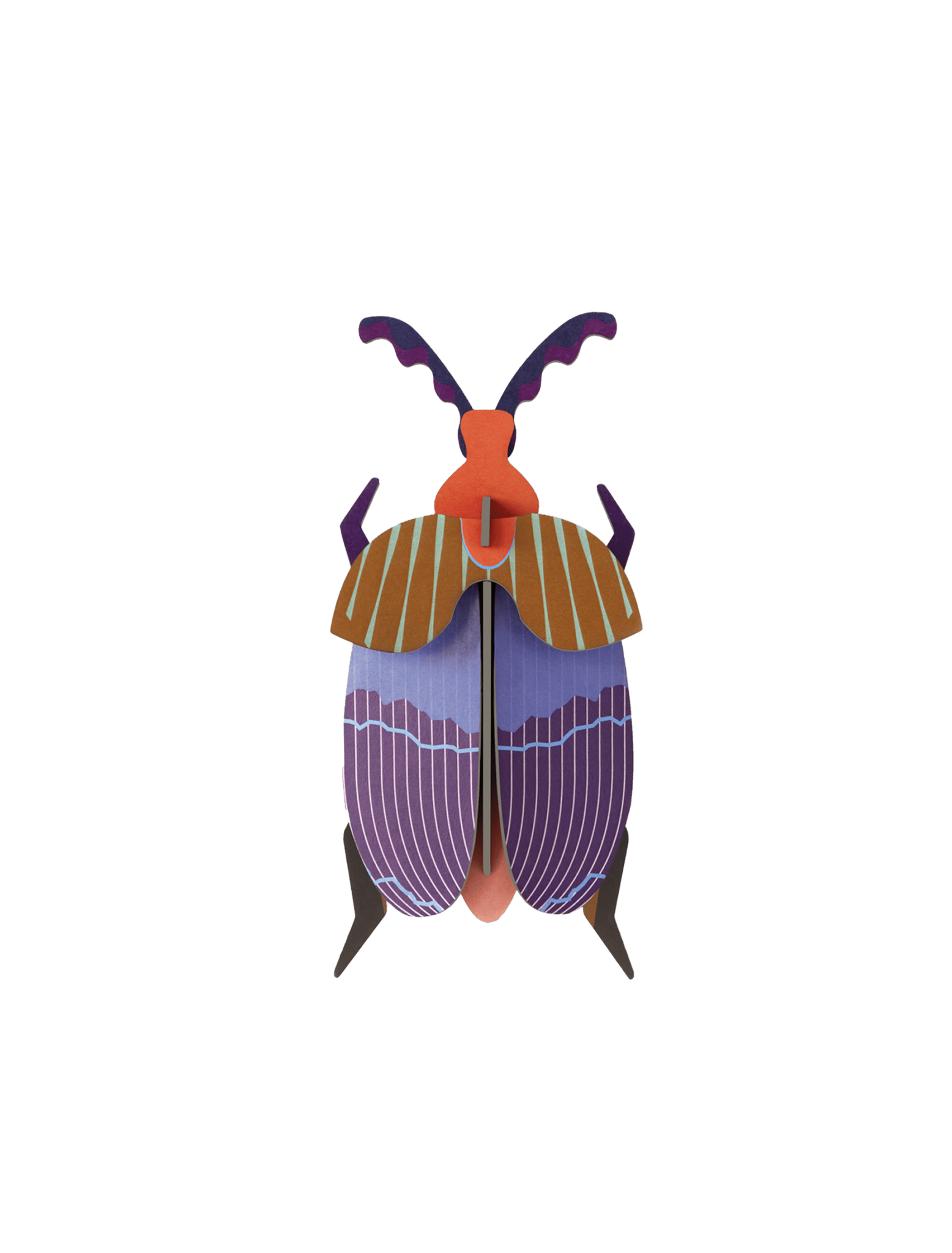 Studio Roof - Wall Art - Queen Beetle