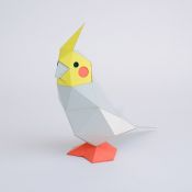 Kaku Kaku - Tiny Cockatiel