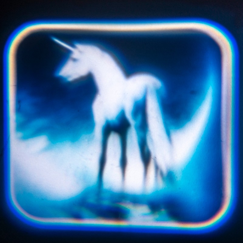 Torch Projector Unicorn