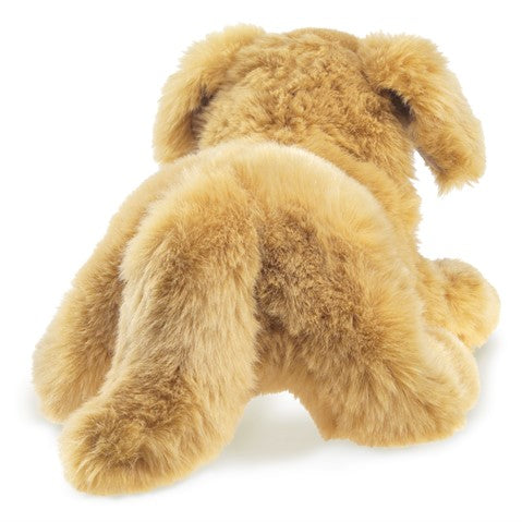 Folkmanis Golden Retriever Puppy Puppet